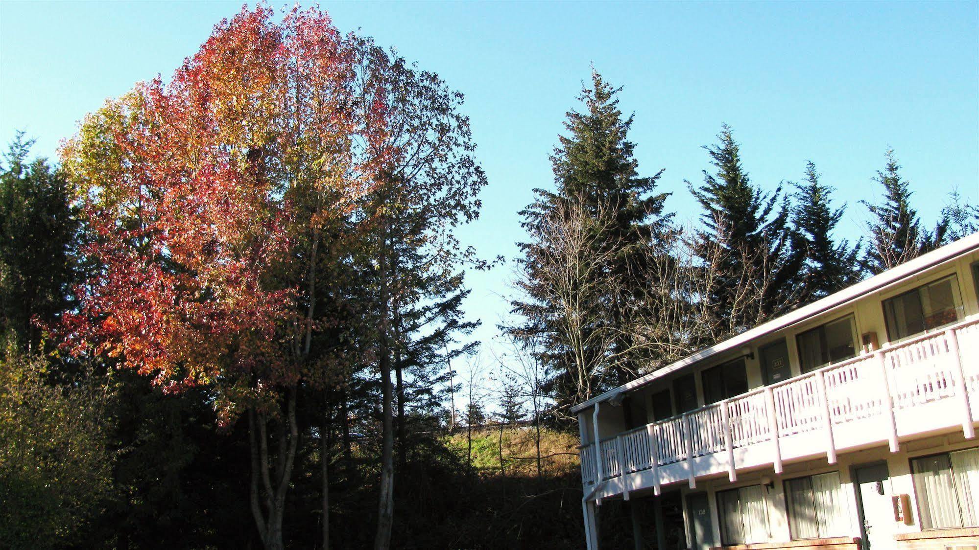 Motel Puyallup Extérieur photo